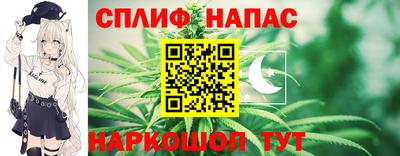 гашик Новодвинск