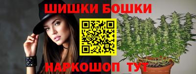гашик Новодвинск