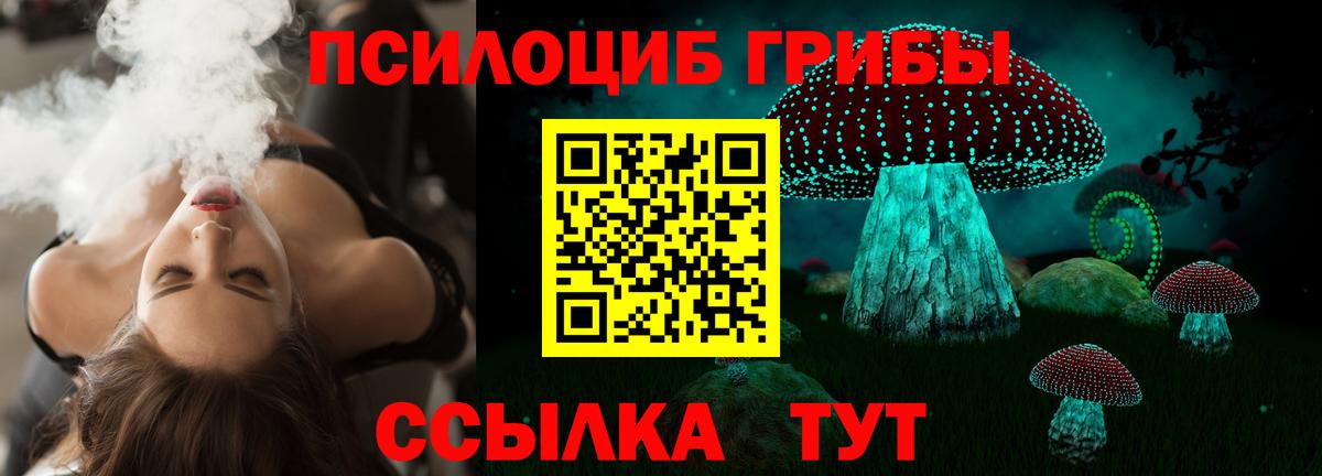 Искитим  Псилоцибиновые грибы Psilocybine cubensis  Вход с VPN 